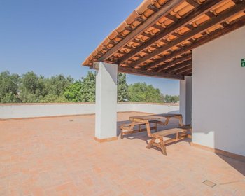 Barrio La Palmita House for Sale – San Miguel de Allende real estate photo 2