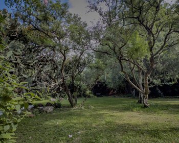 Casa Persea – San Miguel de Allende real estate photo 3