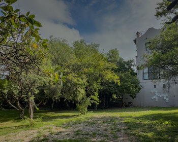 Casa Persea – San Miguel de Allende real estate photo 4