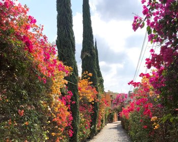 Casa Panoramica – San Miguel de Allende real estate photo 4