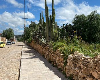 Primera De Guadalupe – San Miguel de Allende real estate photo 2
