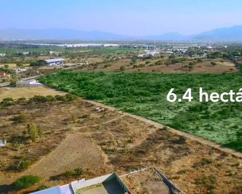 Rancho Los Organos 6.4 Ha – San Miguel de Allende real estate photo 4