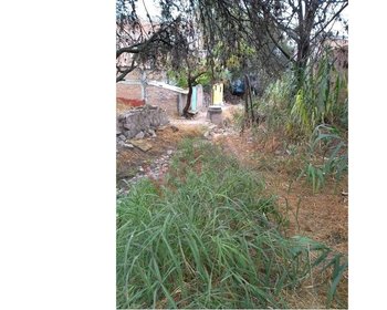 Terreno en Colonia Allende – San Miguel de Allende real estate photo 4