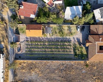Country House With Vineyard – San Miguel de Allende real estate photo 3