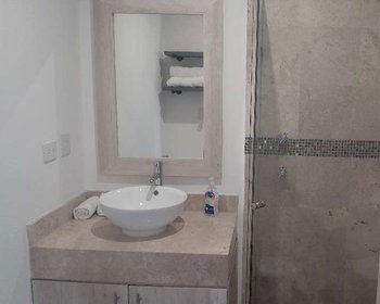 La Serena Guadiana – San Miguel de Allende real estate photo 4