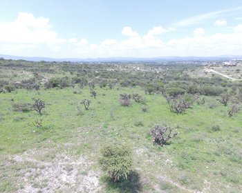 Land 10,764 square feet in Temazacallis -  Nature and tranquility – San Miguel de Allende real estate photo 4