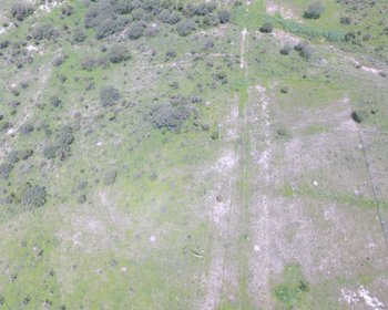 Land 10,764 square feet in Temazacallis -  Nature and tranquility – San Miguel de Allende real estate photo 1