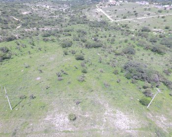 Land 10,764 square feet in Temazacallis -  Nature and tranquility – San Miguel de Allende real estate photo 3