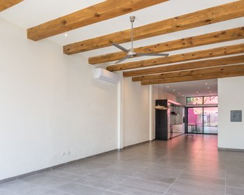  – San Miguel de Allende real estate photo 2