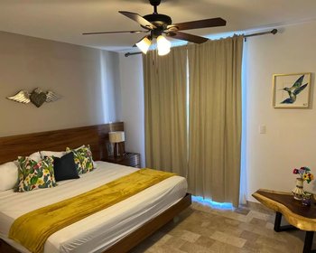 Villa Lala – San Miguel de Allende real estate photo 2