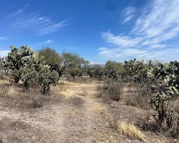 Lote Ponce – San Miguel de Allende real estate photo 3