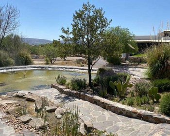Terreno Mariposa – San Miguel de Allende real estate photo 4