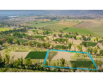 Lote Viñedo San Lucas – San Miguel de Allende real estate photo 1