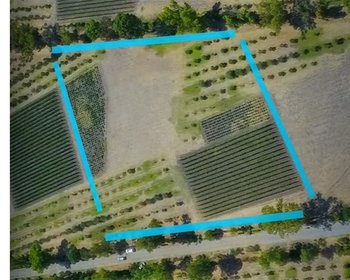 Lote Viñedo San Lucas – San Miguel de Allende real estate photo 4
