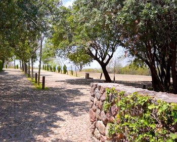 Casa con Viñedo, RLL (Lote 5) – San Miguel de Allende real estate photo 3