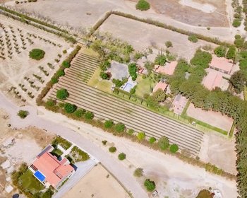 Casa con Viñedo, RLL (Lote 5) – San Miguel de Allende real estate photo 4