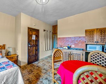  – San Miguel de Allende real estate photo 4