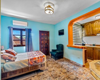  – San Miguel de Allende real estate photo 3