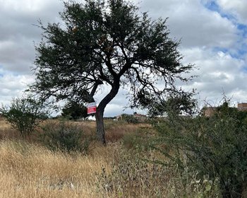 Lote Lidia – San Miguel de Allende real estate photo 1