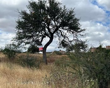 Lote Lidia – San Miguel de Allende real estate photo 2