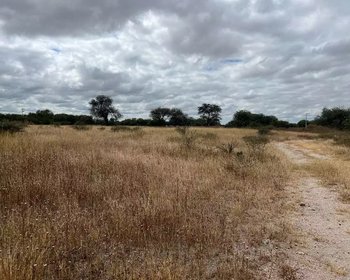 Lote Terra – San Miguel de Allende real estate photo 1