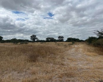 Lote Terra – San Miguel de Allende real estate photo 4