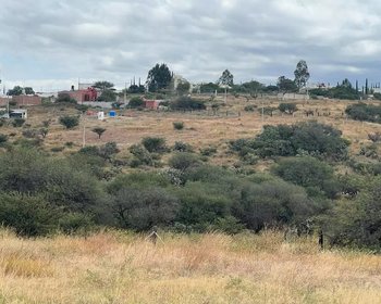 Lote Tatli – San Miguel de Allende real estate photo 3