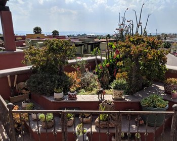 Puente El Secreto 10 – San Miguel de Allende real estate photo 2