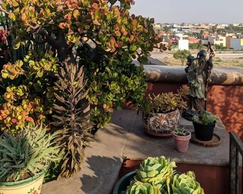Puente El Secreto 10 – San Miguel de Allende real estate photo 4