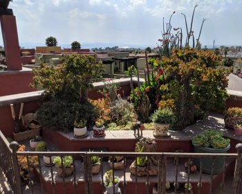 Puente El Secreto 10 – San Miguel de Allende real estate photo 3