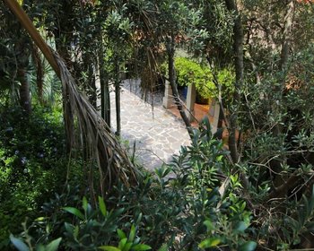 Casa Danzantes – San Miguel de Allende real estate photo 1