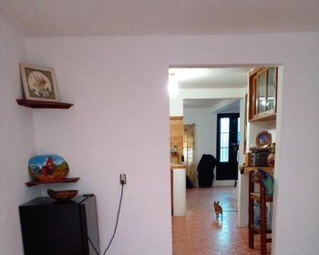 Fixer/casa San Felipe – San Miguel de Allende real estate photo 4