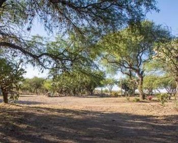 Terreno 1.6 ha DESARROLLAR – San Miguel de Allende real estate photo 1