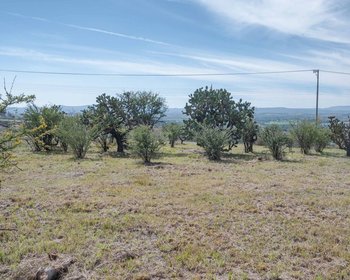 Lote Ceacatl TEMAZCALLIS 2 – San Miguel de Allende real estate photo 2