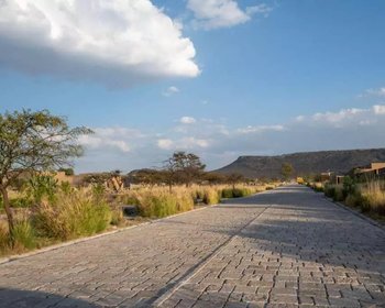 Lot Roble La Providencia – San Miguel de Allende real estate photo 4