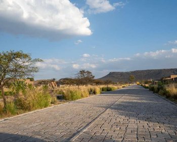 Lot Roble La Providencia – San Miguel de Allende real estate photo 4