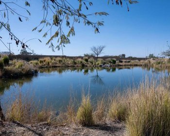 Lot Roble La Providencia – San Miguel de Allende real estate photo 3