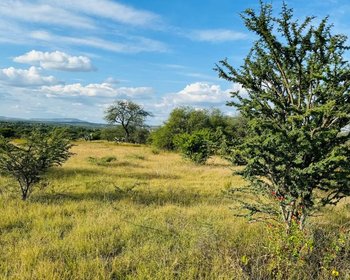 2.5 Hectares of premium Housing land – San Miguel de Allende real estate photo 2