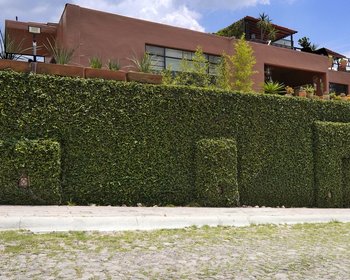 4002 Casa Raul – San Miguel de Allende real estate photo 1