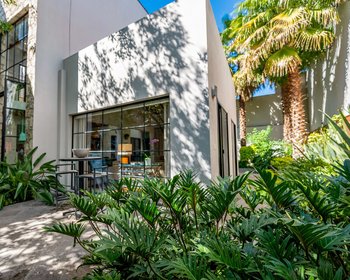 Casa Roble – San Miguel de Allende real estate photo 1