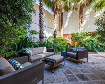 Casa Roble – San Miguel de Allende real estate photo 3