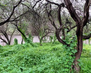 Lote Cieneguita Baños – San Miguel de Allende real estate photo 3