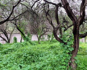 Lote Cieneguita Baños – San Miguel de Allende real estate photo 3