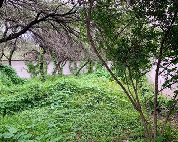 Lote Cieneguita Baños – San Miguel de Allende real estate photo 4
