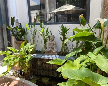 Casa en el Obraje – San Miguel de Allende real estate photo 3