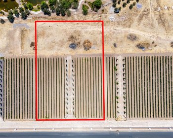 Viñedos Patria Finca 16 – San Miguel de Allende real estate photo 1