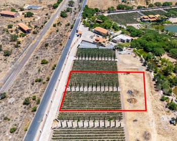 Viñedos Patria Finca 16 – San Miguel de Allende real estate photo 3