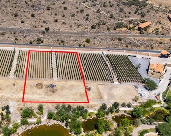 Viñedos Patria Finca 16 – San Miguel de Allende real estate photo 4