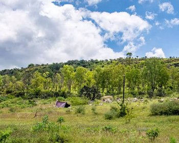 Marcos de Begoña Lot – San Miguel de Allende real estate photo 4