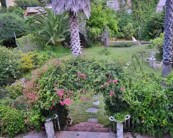  – San Miguel de Allende real estate photo 3